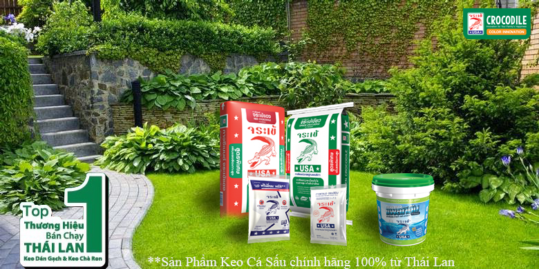 KEO CÁ SẤU THÁI LAN – KEO DÁN GẠCH COTTO THÁI LAN