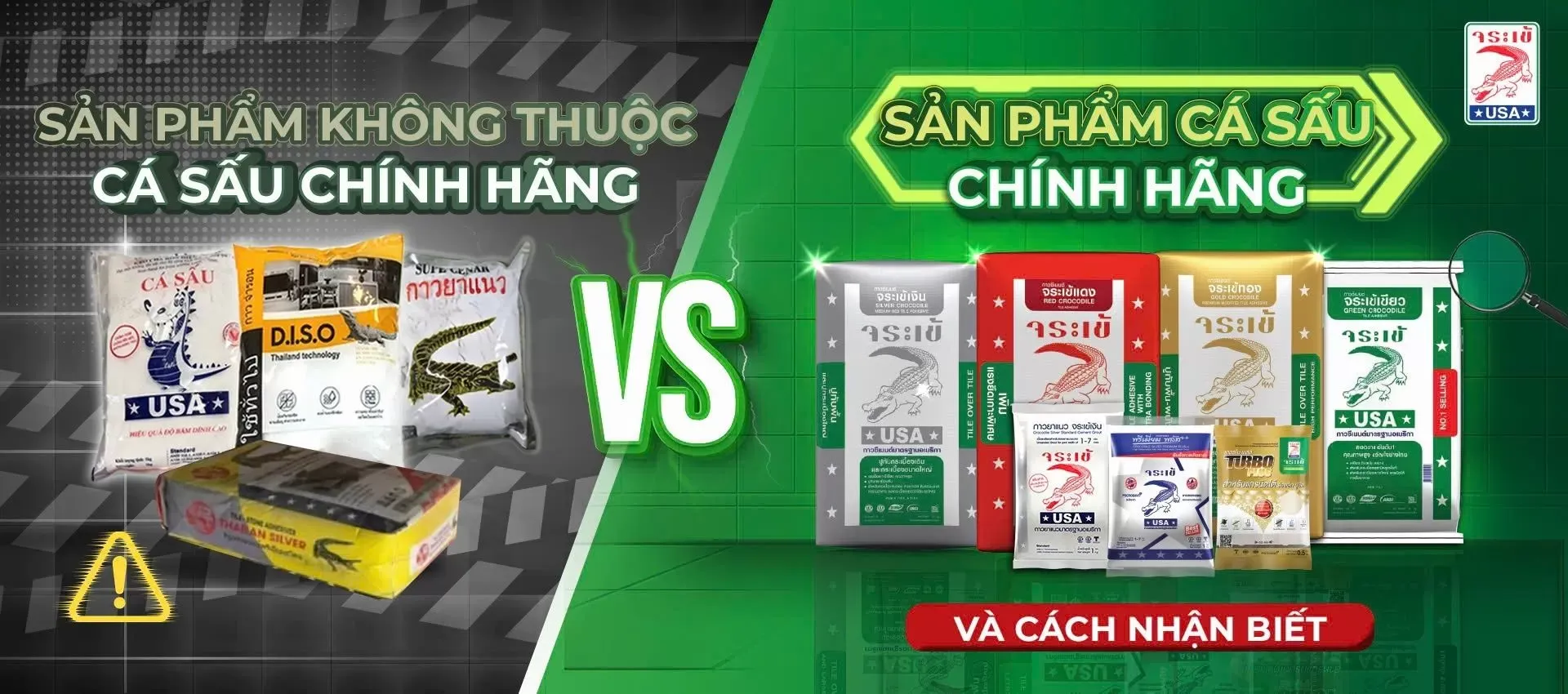 Thương Hiệu Crocodile Khám Phá Lịch Sử Và Vị Thế Dẫn Đầu